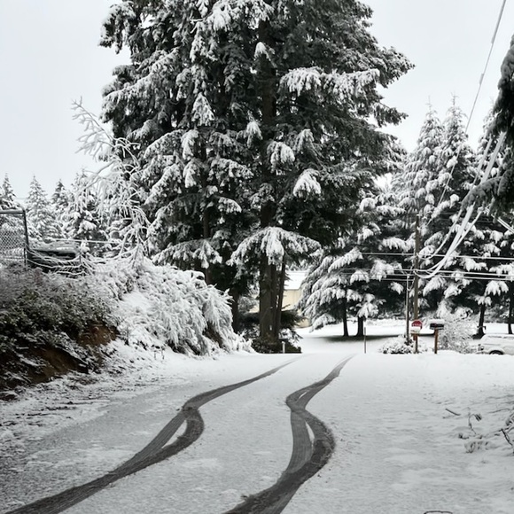 Meet your Posher, Isabella - Picture 2 of 5